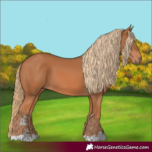 Horse Color:Chestnut 
