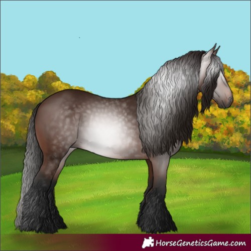 Horse Color:Gray Bay 