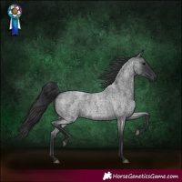 Horse Color:Blue Roan