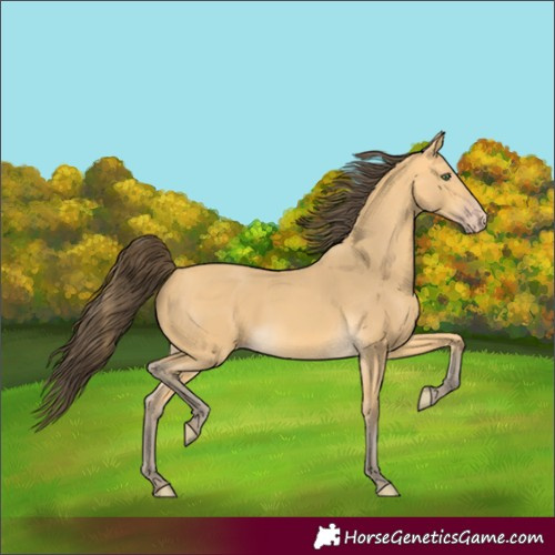 Horse Color:Amber Cream Champagne 