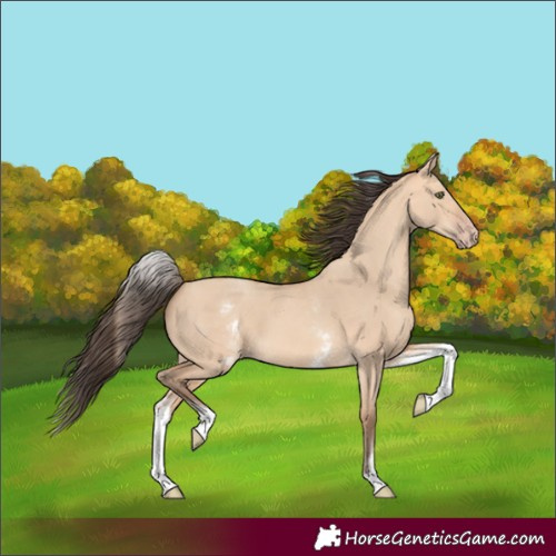 Horse Color:White Spotted Amber Champagne Dun 