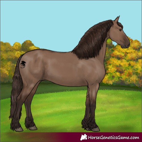 Horse Color:Liver Red Dun 