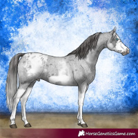 Horse Color:White Spotted Blue Roan Splash Frame Blanket