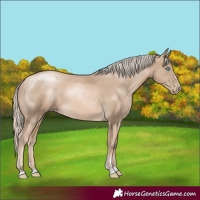 Horse Color:Chocolate Palomino Pearl