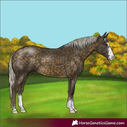 Horse Color:Silver Buckskin 