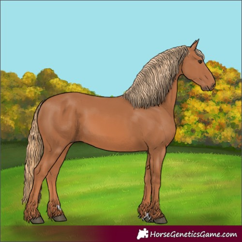 Horse Color:Chestnut 