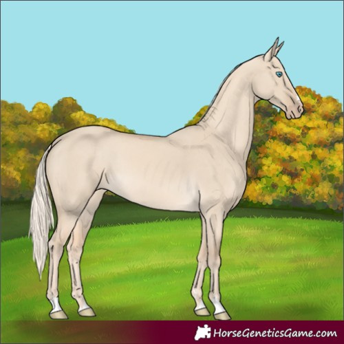 Horse Color:Cremello Dun 