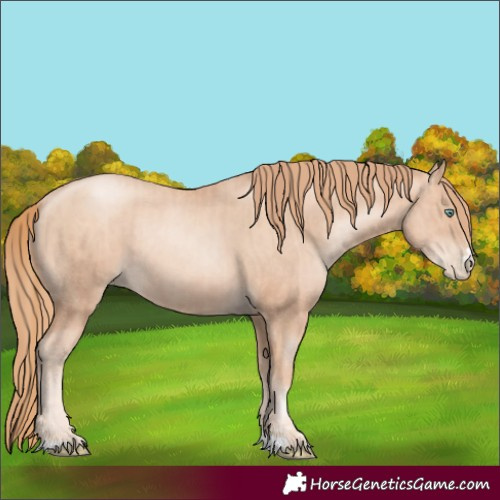 Horse Color:Gold Champagne Pearl Rabicano and Gold Champagne Pearl Rabicano