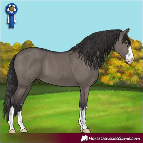 Horse Color:Smoky Grullo