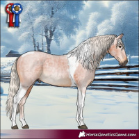 Horse Color:Gray Silver Bay Tobiano Rabicano 