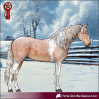 Horse Color:Gray Silver Bay Tobiano Rabicano
