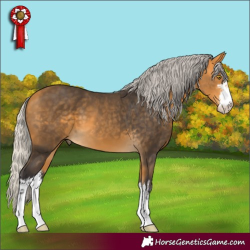 Horse Color:White Spotted Silver Buckskin 
