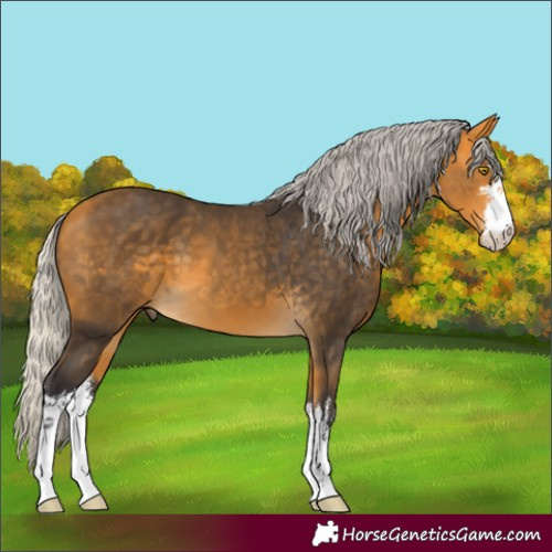 Horse Color:White Spotted Silver Buckskin