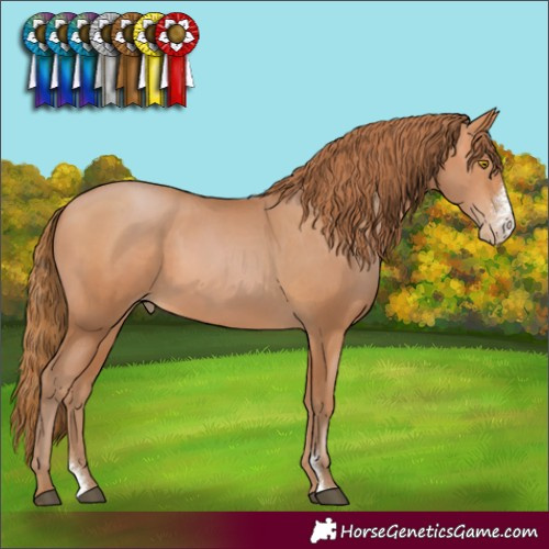 Horse Color:Bay Pearl Sabino 