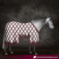 Horse Color:Gray White Spotted Liver Chestnut 