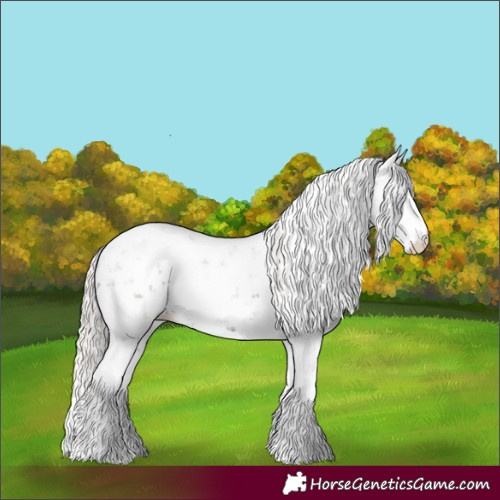 Horse Color:Silver Black Sabino Appaloosa Rabicano 