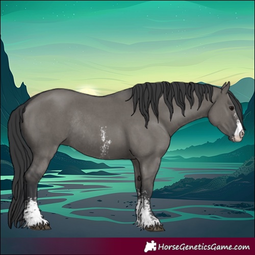 Horse Color:Grullo Sabino Rabicano 