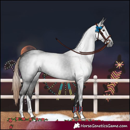 Horse Color:Gray White Spotted Liver Chestnut 