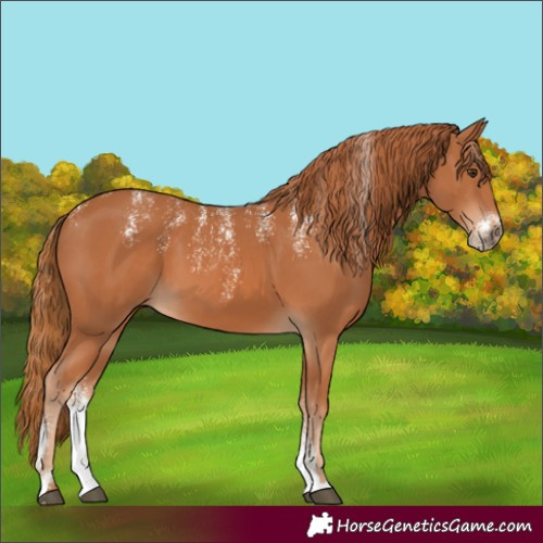 Horse Color:Powder White Chestnut 