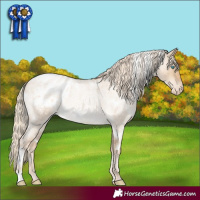 Horse Color:White Spotted Chocolate Palomino Roan Pearl Dun Varnish 
