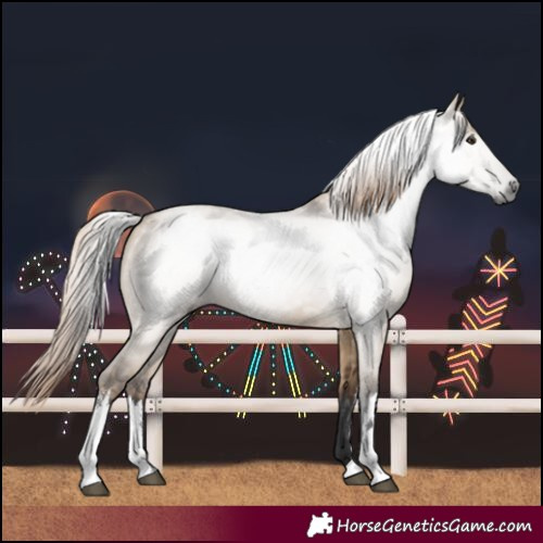 Horse Color:Gray White Spotted Liver Red Dun 