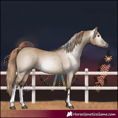 Horse Color:Gray White Spotted Liver Red Dun 