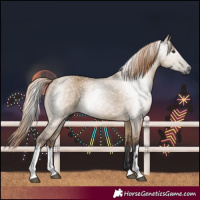 Horse Color:Gray White Spotted Liver Red Dun 