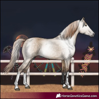 Horse Color:Gray White Spotted Liver Red Dun