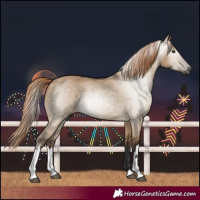 Horse Color:Gray White Spotted Liver Red Dun 