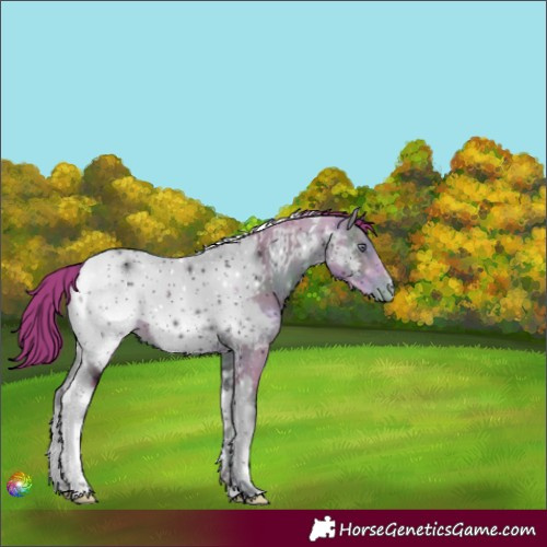 Horse Color:ERROR: UNKNOWN ANOMALY