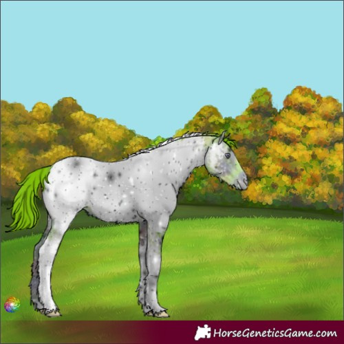Horse Color:ERROR: UNKNOWN ANOMALY