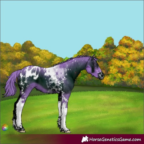 Horse Color:ERROR: UNKNOWN ANOMALY