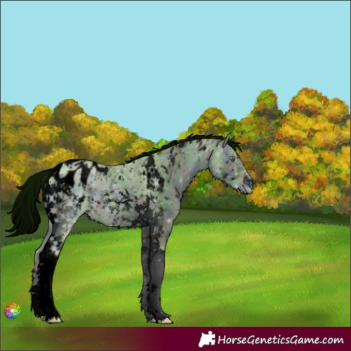 Horse Color:ERROR: UNKNOWN ANOMALY