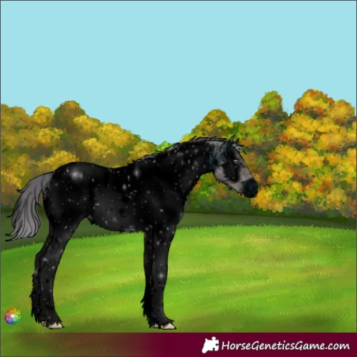 Horse Color:ERROR: UNKNOWN ANOMALY