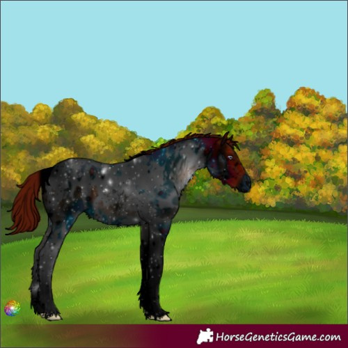 Horse Color:ERROR: UNKNOWN ANOMALY