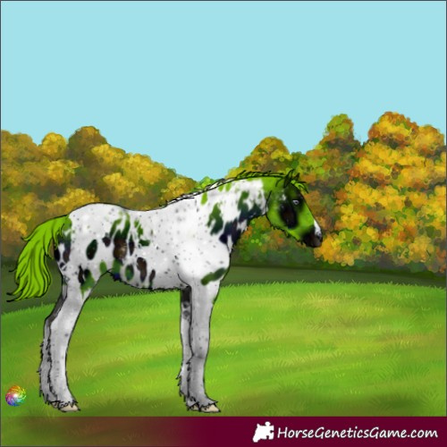 Horse Color:ERROR: UNKNOWN ANOMALY