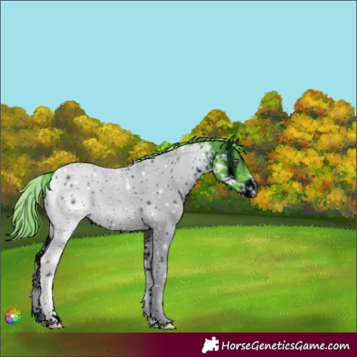 Horse Color:ERROR: UNKNOWN ANOMALY