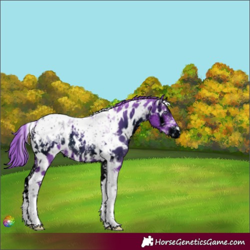 Horse Color:ERROR: UNKNOWN ANOMALY
