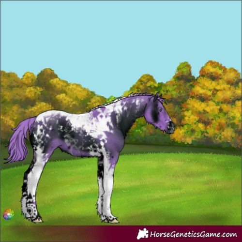 Horse Color:ERROR: UNKNOWN ANOMALY