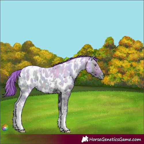 Horse Color:ERROR: UNKNOWN ANOMALY