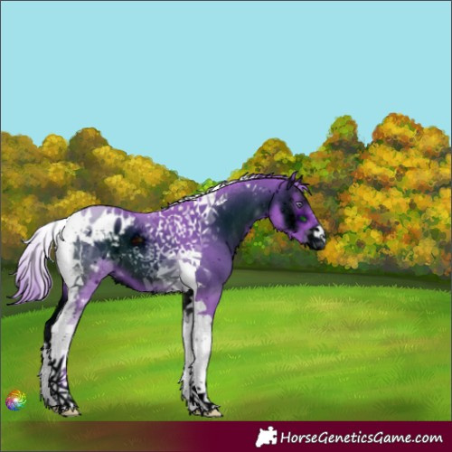 Horse Color:ERROR: UNKNOWN ANOMALY