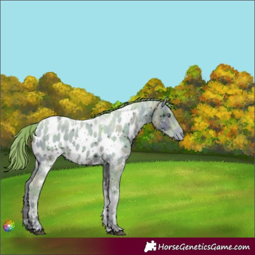 Horse Color:ERROR: UNKNOWN ANOMALY