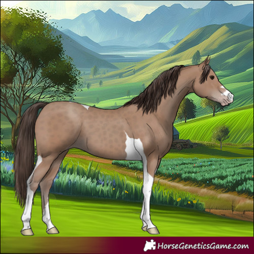 Horse Color:Classic Champagne Tobiano 