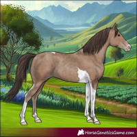 Horse Color:Classic Champagne Tobiano 