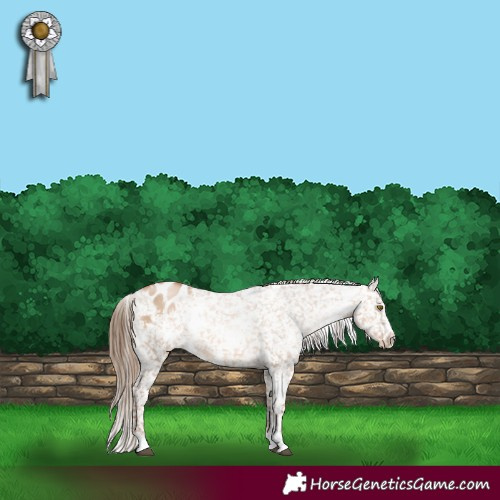 Horse Color:White Spotted Liver Red Dun Pearl Snowflake Varnish 