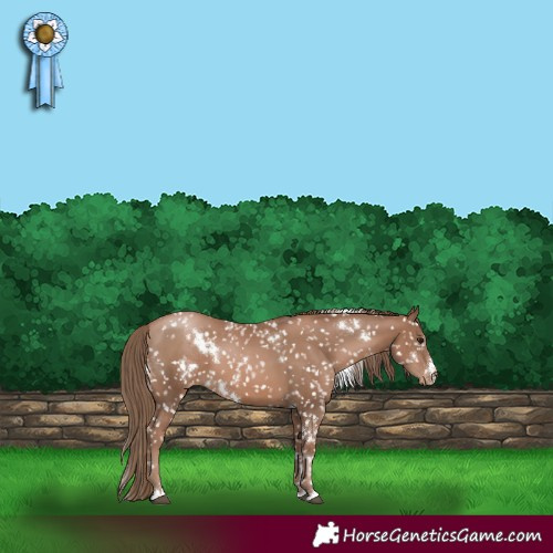 Horse Color:White Spotted Black Pearl Snowflake Varnish 