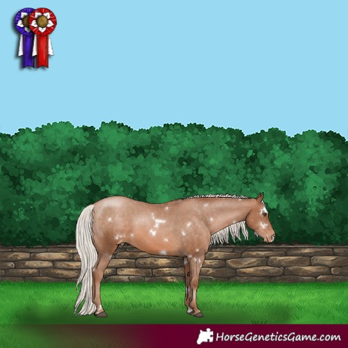 Horse Color:White Spotted Silver Brown Pearl Appaloosa 
