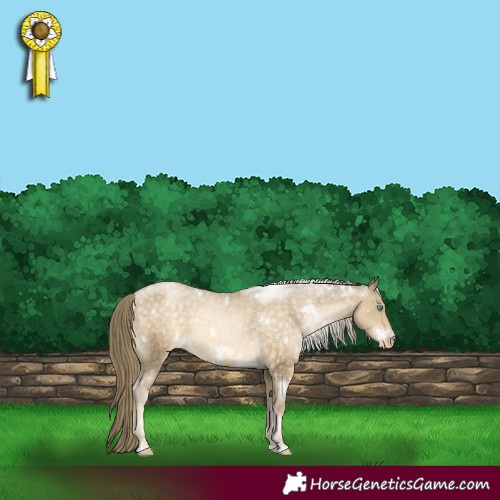 Horse Color:White Spotted Buckskin Pearl Appaloosa 