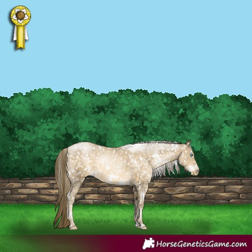 Horse Color:White Spotted Buckskin Pearl Snowflake Varnish