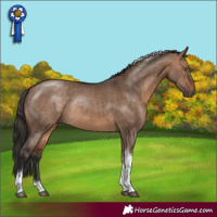 Horse Color:Bay Dun Tobiano Rabicano
